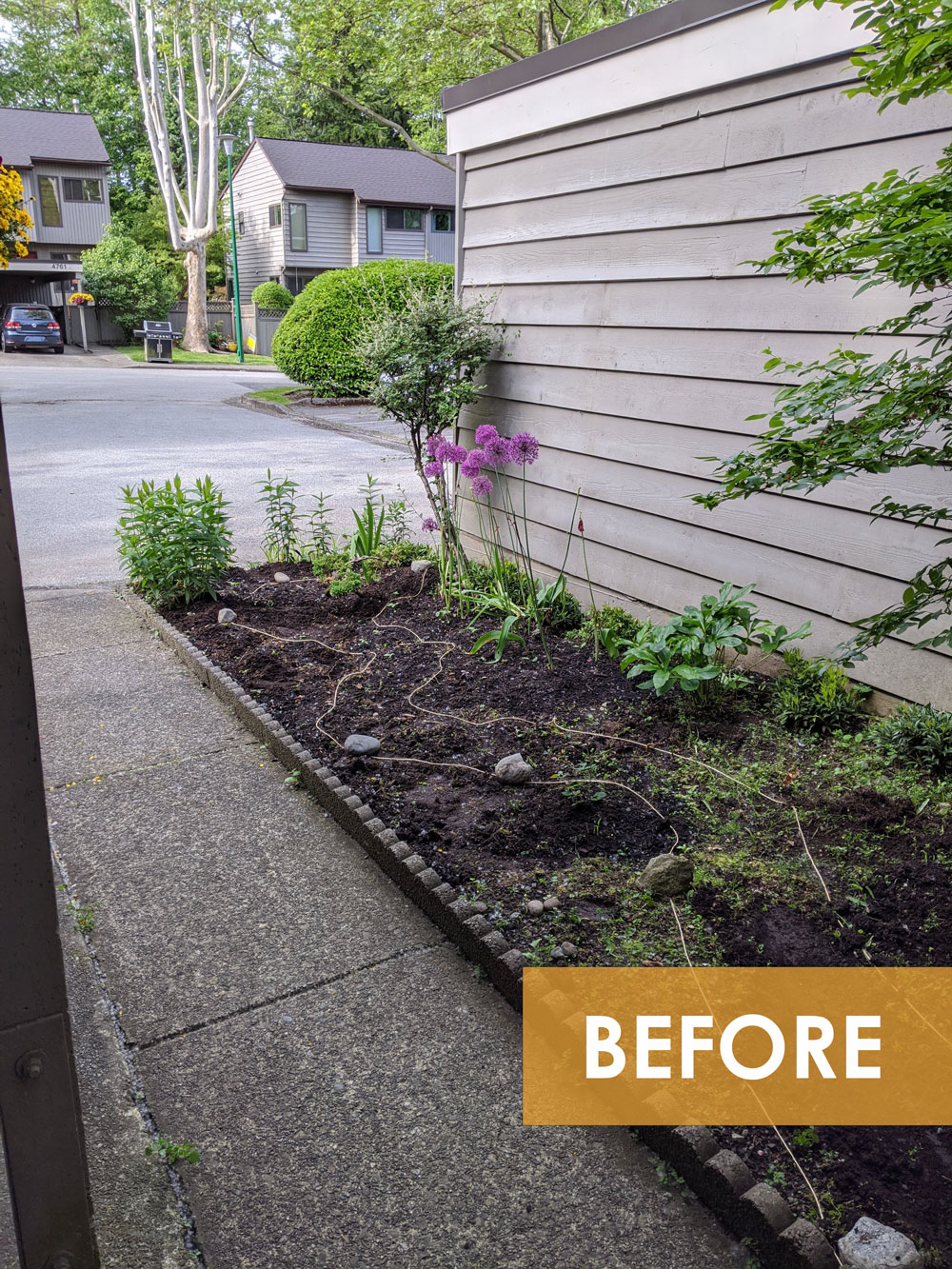 Townhouse-Garden-Design-Build-Before-1