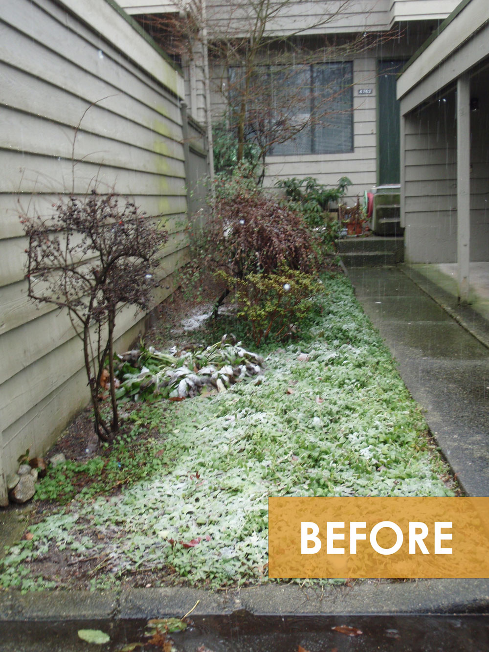 Townhouse-Garden-Design-Build-Before-2